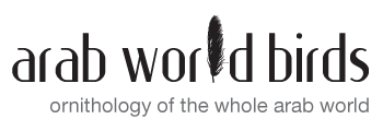 Just another WordPress site Just another WordPress site